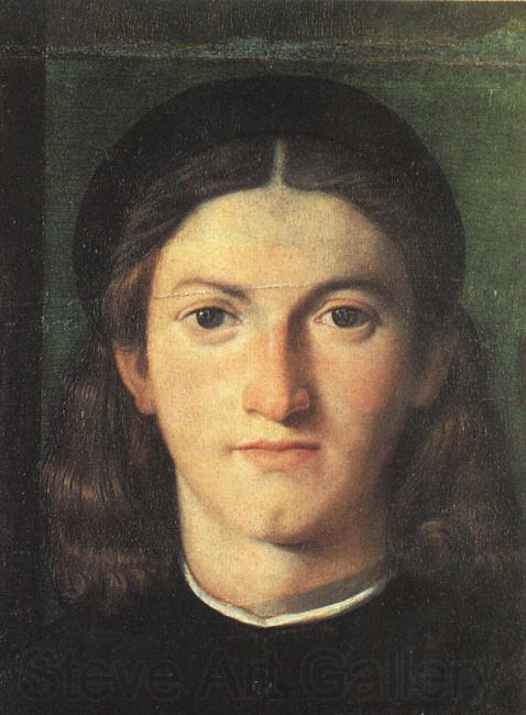 Lorenzo Lotto Head of a Young Man ff France oil painting art